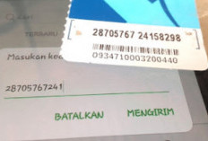 Cara Memasukan Voucher XL yang Gagal, Ternyata Ini Penyebab dan Cara Mengatasinya!