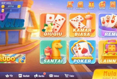 Free Download Qiu Qiu Pro Mod Apk Latest Version (2024), Aman Ada Tombol Kirimnya!