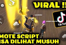 Dijamin Work! Kumpulan Script Config FF Sultan Terbaru Januari 2024, Terlengkap Langsung Unduh Disini