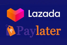 Cair Gak Sampai 5 Menit! Begini Cara Menganjukan Pinjaman Lazada Paylater 2023
