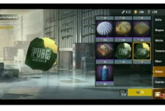 Kupon Peti Premium PUBG Terbaru 2024 Langsung Klaim! Cek Cara Mendapatkannya Dengan Mudah