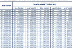 Tabel Angsuran BRI Non KUR 2024 dan Cara Pengajuan nya, Data Lengkap Dana Bisa Langsung Cair Hingga 50 Juta!