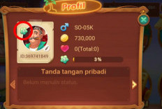 Cara Naik Level Higgs Domino 5 ke 6 Cepat! Ditinggal Tidur Langsung Naik Level!