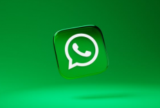 Cara Menampilkan Foto Whatsapp di Galeri Pada HP Android, Ikuti Tutorial Simpelnya DISINI !