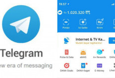 Link BOT Telegram Penghasil Saldo DANA Asli No Tipu Februari 2024, Ikuti Langkahnya Dapatkan Hadiahnya!