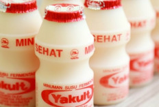 Hati-hati! Ini Dia Efek Samping Yakult Jika Dikonsumsi Secara Berlebihan, Bisa Jadi Gangguan Pencernaan