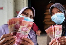 BLT Elnino 16 17 18 Desember 2023 Cair Senin di Bank BNI, Langsung Cek Apakah Namamu Sudah Terdata
