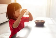 Harga Susu Dancow Batita dan Nestle Batita Kemasan Box dan Sachet 2023, Tersedia di Indomaret dan Alfamart