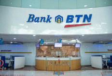 Lowongan Kerja Bank BTN November 2023 Buat Lulusan D3 dan S1, Langsung Apply di Sini 