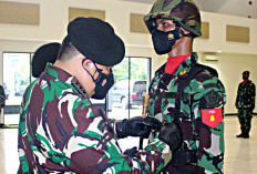Jadwal Pendaftaran PSDP TNI TA 2024 Khusus Tenaga Pertanian, Kesempatan Emas Untuk Lulusan D4, S1, S2, Hingga S3