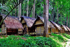 Desa di Banten ini Sangat Unik, Kehidupannya Masih Sangat Tradisional, Makan Minum Pakai Daun Pisang, Tidur Pun Beralaskan