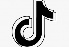 Download (Pengunduh) TikTok Tanpa Watermark Gratis, Simpan Video Favorit dalam Genggaman