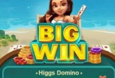 Mitra Higgs Domino di Trade.topbos.com, Bisa Dapatkan Top Up Lebih Murah!