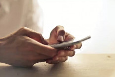 FunTube APK Penghasil Uang Terbukti Membayar? Cek Disini Langsung dari Pengalaman Penggun!