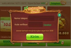 Cara Memasukkan No HP ke Akun Higgs Domino Island, Aman dan Sangat Mudah!