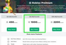 Cara Beli Robux Murah, Mulai Dari Gunakan Kode Diskon Sampai Langganan Membership