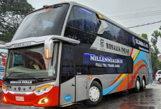 Jadwal Keberangkat Bus Rosalia Indah dari Solo Terbaru 2023 dan Harga Tiketnya, Langsung Pesan di Nomor Ini!