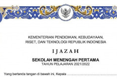 Perbedaan Ijazah yang Sudah Dilegalisir dan Belum yang Wajib Kamu Tahu
