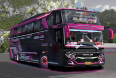 Download MOD Bussid Bus Termewah dan Elegan 2023 Lengkap dengan Livery-nya, Bikin Temanmu Makin Iri!