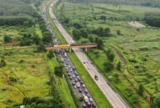 Tarif Tol Kanci Cikampek Terbaru 2023 dari Golongan I Hingga Golongan V, Catat! Agar Tidak Salah Menyiapkan