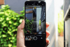 Inilah Config Gcam Terbaik Januari 2024! Simak Juga Cara Unduh dan Pasangnya Disini