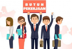 Kumpulan Pantun Lucu Para Pencari Kerja, Bisa Jadi Jalan Untuk Menghibur Diri Kamu!