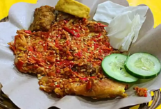 Menu Rekomendasi Ayam Gepuk Pak Gembus Yogyakarta Paling Laris! Harga Bersahabat Rasa Ayam Nikmat