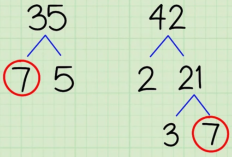 Cara Mencari KPK & FPB Materi Kelas 4 SD/MI dengan Mudah dan Tepat, Dilengkapi dengan Contoh Soal