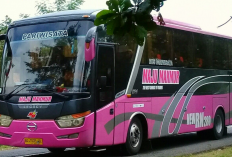Daftar Bus Purwokerto Magelang Terbaru 2023, Lengkap dengan Jadwal dan Informasi Kontak