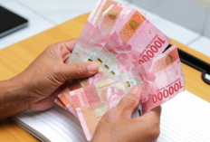 Review Terong123 Penghasil Uang : Apakah Terbukti Membayar dan Tak ada Indikasi Penipuan?