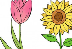 Contoh Gambar Bunga Berwarna yang Mudah Ditiru, Simpel Tapi Sangat Indah!