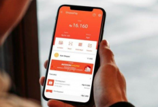 Pengalaman Telat Bayar Shopee Paylater 1 Minggu, Awas! Ternyata Beresiko Sangat Besar