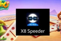 Cara Menggunakan X8 Speeder Higgs Domino Tanpa Iklan 2023, Unduh di Sini!