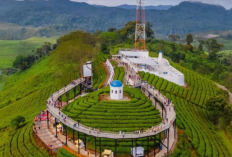 Harga Tiket Masuk Nimo Highland Bandung Terbaru 2023, Nikmati Wisata Alam Cantik dengan Spot Foto Menarik