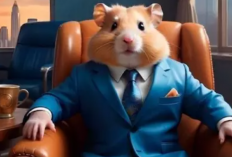 Kode Morse Hamster Kombat Rabu, 19 Juni 2024 : Siap di Klaim Banjir Koin Hingga 10 Juta!