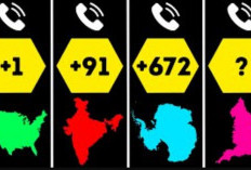 Kode Telepon +91 Dari Negara Mana? Kamu Harus Tahu Agar Terhindar Dari Modus Penipuan!