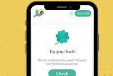 Cara Mendapatkan Uang Dari Digiopinion Survei Berbayar Terbaru, Hasilkan Uang Sambil Rebahan Doang 