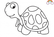 Kumpulan Gambar Kura-kura Hitam Putih, Cocok Untuk Anak Belajar Mewarnai!