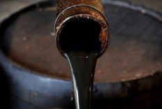 Cara Jadi Agen Minyak Tanah Resmi Dari Pertamina, Begini Prosedurnya yang Ternyata Gampang Buat Pengusaha Pemula 