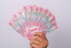 Benarkah Idnvidias com (NVidia) Scam dan Penipuan? Waspada! Begini Pengalaman dari Penggunanya!
