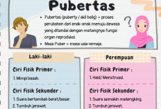 Download Latihan Soal IPA Kelas 6 SD Semester 2 Tahun 2023 Kurikulum Merdeka, Pelajari Materi Tentang Masa Pubertas Lebih Mendalam