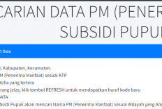 Cara Cek Daftar Penerima Pupuk Bersubsidi Agustus Tahun 2024 Pakai NIK Bisa Lewat HP, Tanpa Kartu Tani
