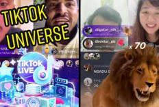 Harga Koin Tiktok di Gift Tiktok Live Tahun 2023, Berikut Daftarnya dari Termurah Hingga Termahal Tiktok Universe