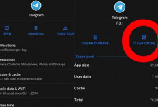 Telegram Lemot Bikin Uring-uringan? Tenang Dulu! Ini Dia Penyebab dan Solusinya 100% Work!