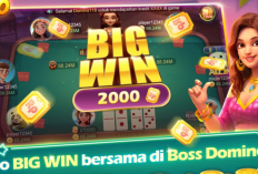 UNDUH GRATIS! Boss Domino Mod APK X8 Speeder Tanpa Iklan Versi Terbaru 2023, Bisa Langsung Pakai Tanpa Password