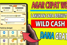 Download Wild Cash APK MOD Versi Terbaru 2025, Dapatkan Saldo Langsung Hingga Rp 100 Ribu!
