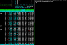 Daftar Script Hack Akun FB Termux Terbaru 2024 Dengan Berbagai Program Kode yang Bisa Dicoba
