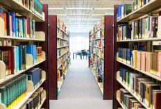 Contoh-Contoh ERD Perpustakaan yang Berbeda-Beda Pada Setiap Kasusnya, Jadikan Sebagai Referensi 