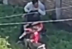 Heboh! Video Syur Sejoli di Taman Semeru Probolinggo Viral TikTok dan Twitter, Berbuat Mesum Dihadapan Anak