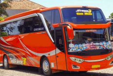 Tarif Tiket Bus Jurusan Gilimanuk - Denpasar Agustus 2023, Harga Murah dengan Armada dan Supir Terpecaya Mulai Dari 50k Saja!